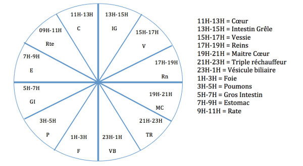 Biorythmes